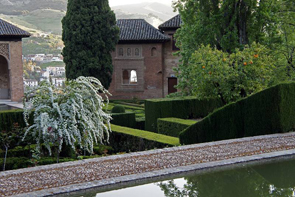 Planta del Mes (Patronato de la Alhambra y Generalife)