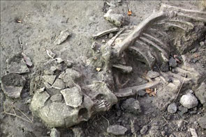 Uno de los esqueletos hallados (Agencia EFE)
