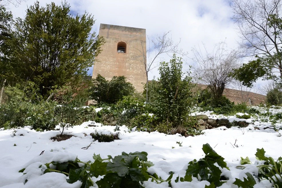 Alhambra: Nevicata a Granada