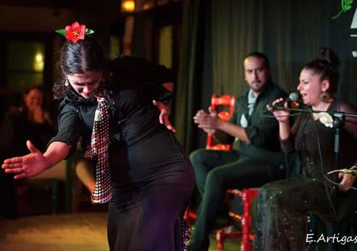 Información y reservas de espectáculos flamencos en Granada. El flamenco se representa tradicionalmente en tablaos en el Albaicín y en cuevas en las famosas zambras gitanas del Sacromonte.