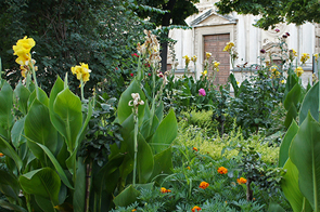 Planta del Mes - Patronato de la Alhambra y Generalife